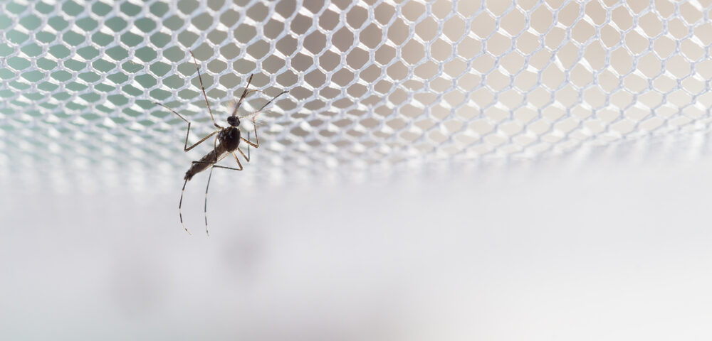 malaria in Kenya