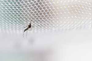 malaria in Kenya